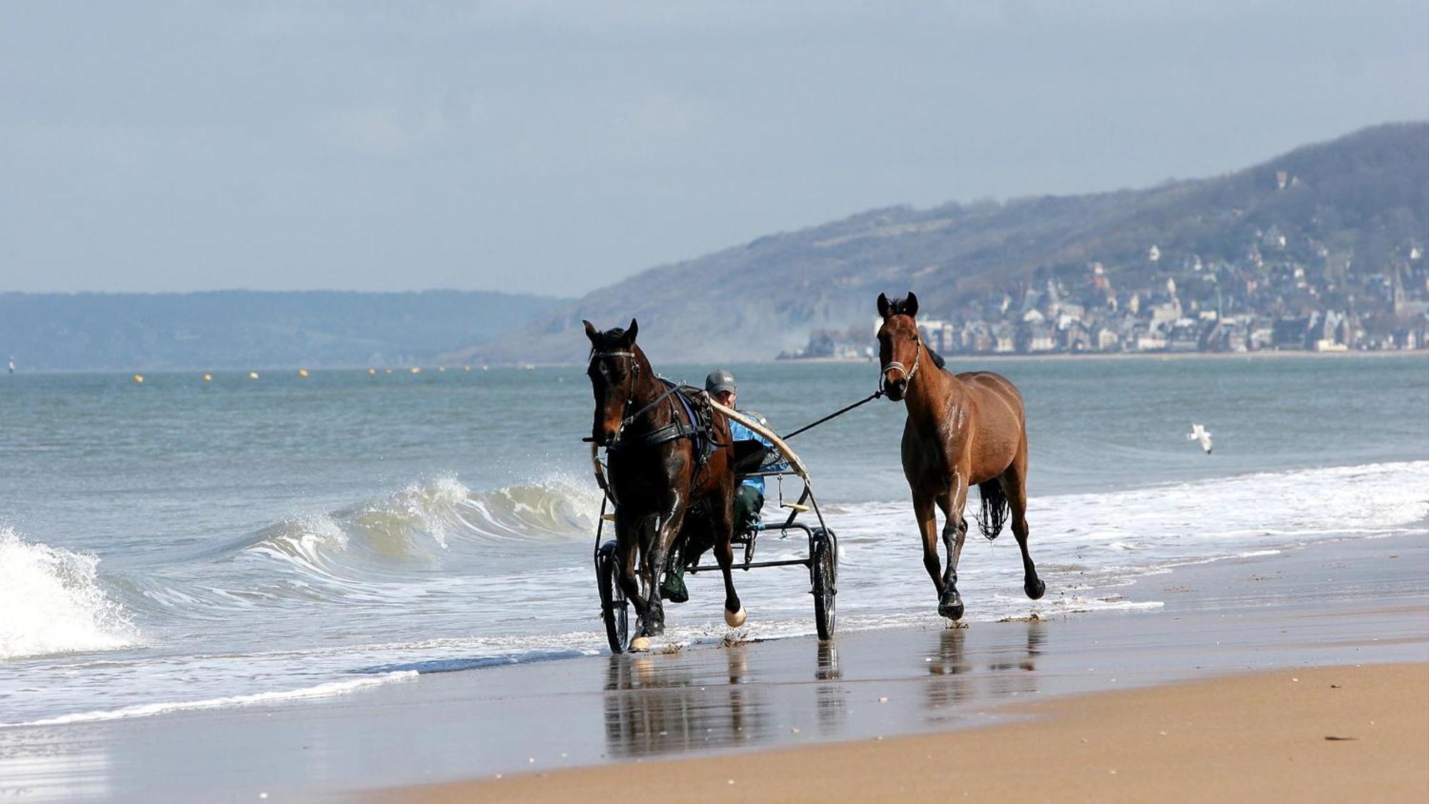 Appartement Calme Et Arboree Proche De La Cabourg